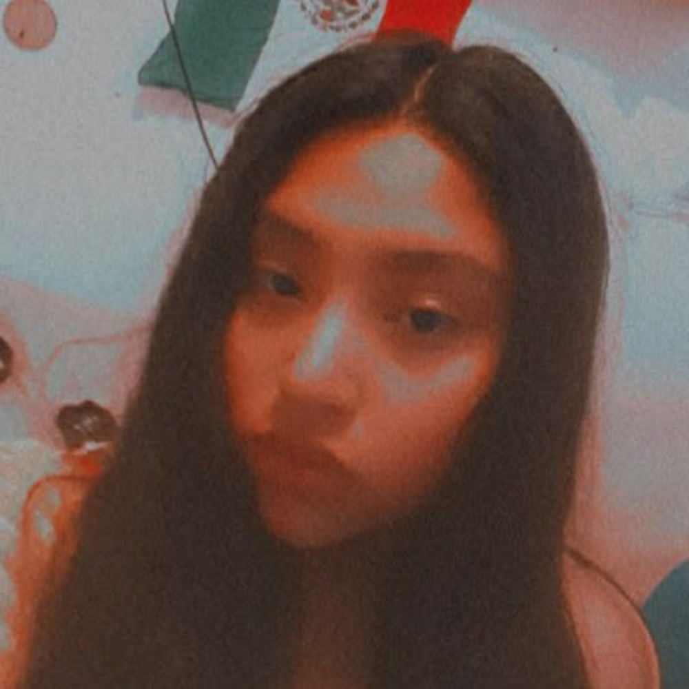 Meet your Posher, Analy